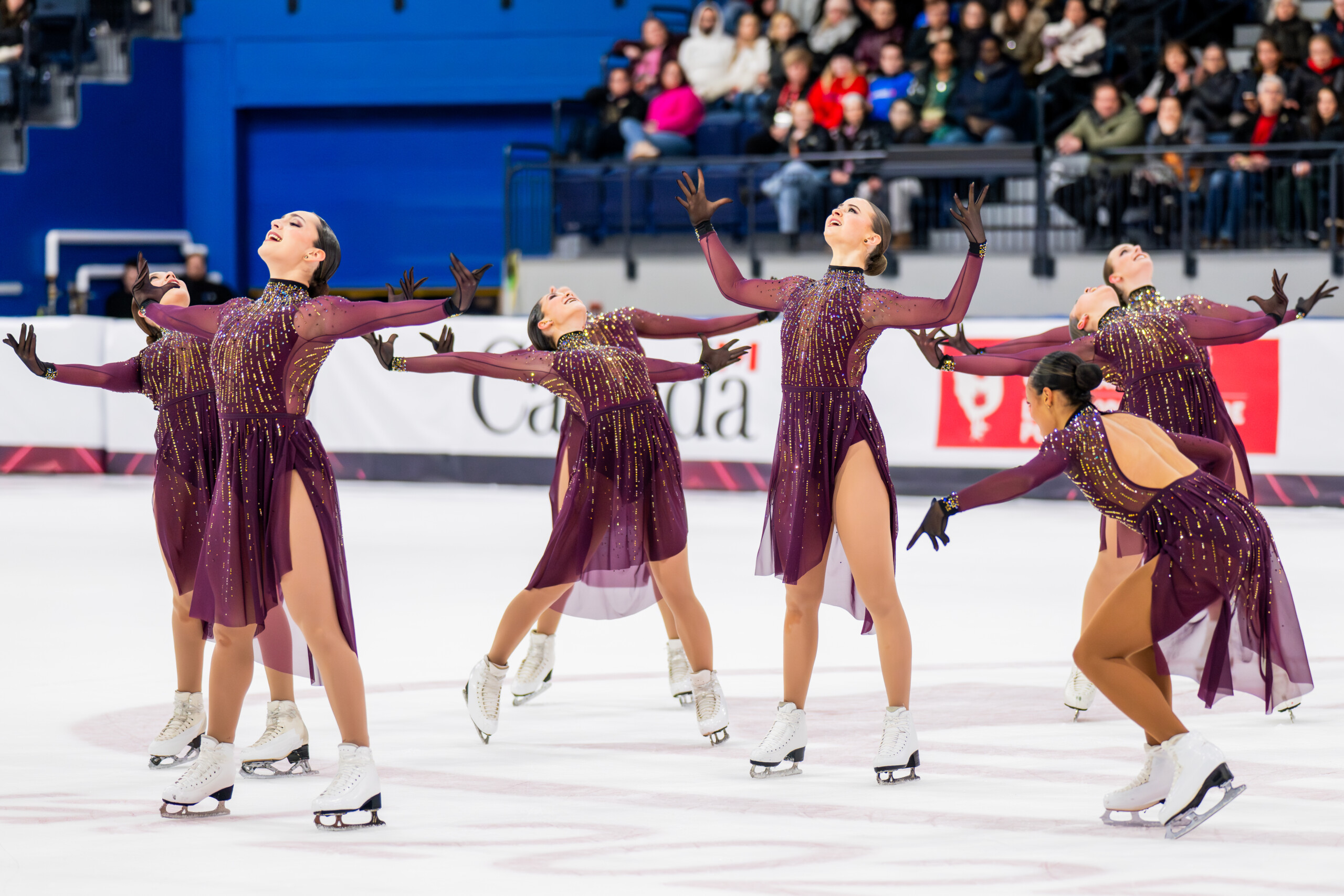 Les Suprêmes Win Gold at the Budapest Cup 2025